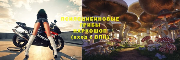 кокс Белокуриха